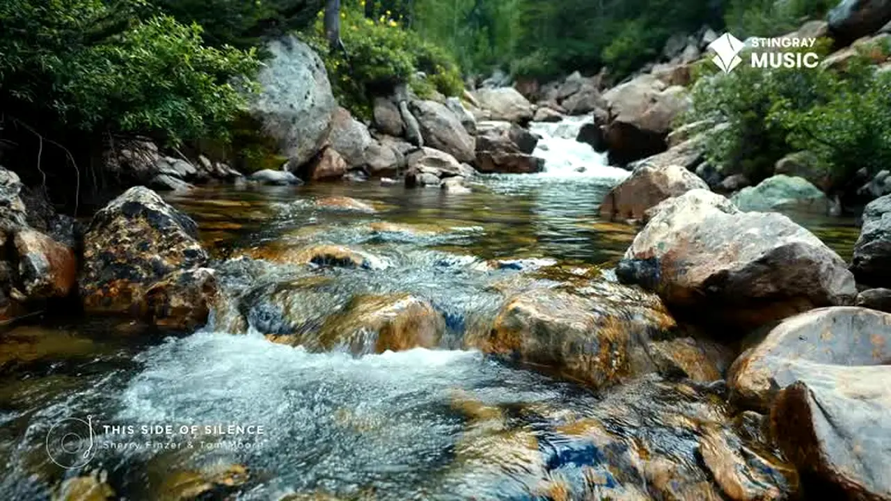 Stingray SPA live