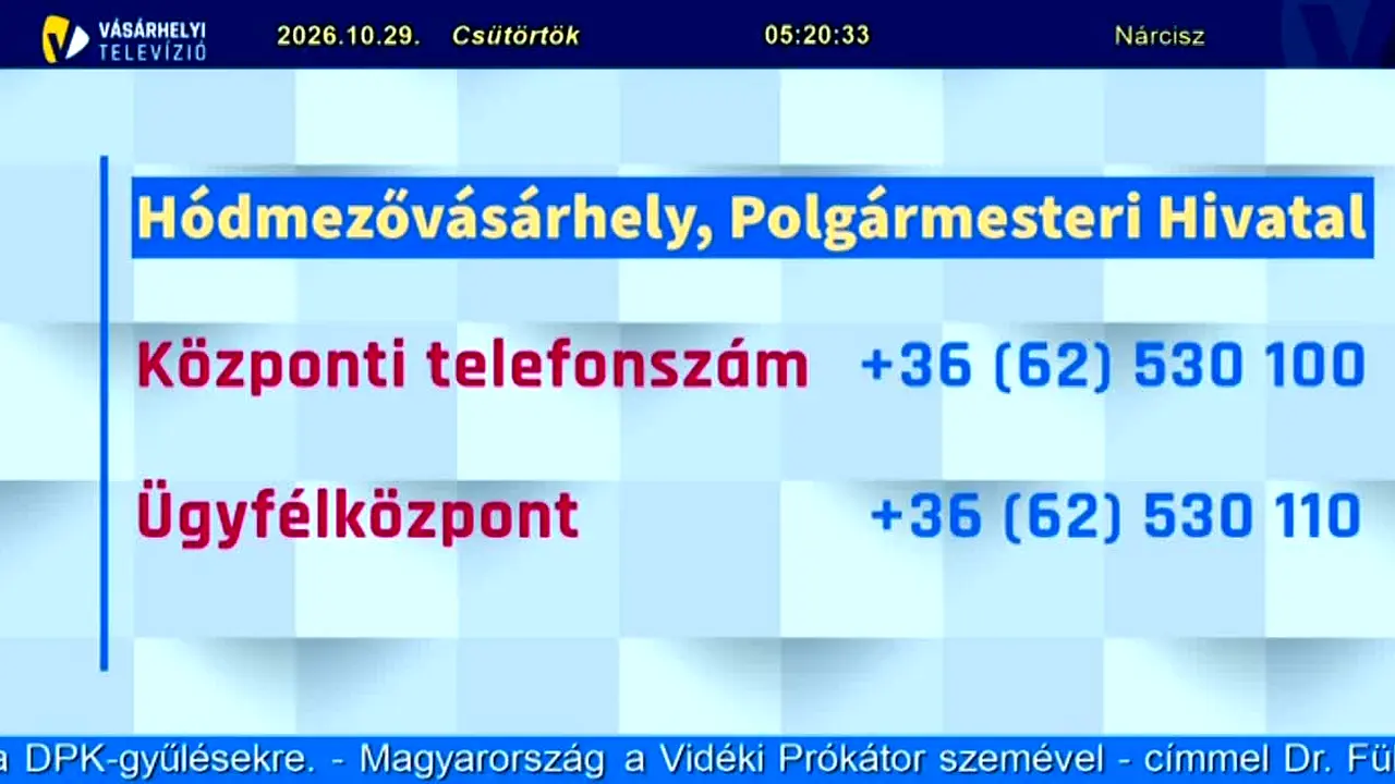 Vásárhelyi Televízió live