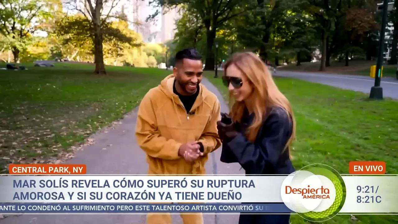 Univision WLTV-DT live