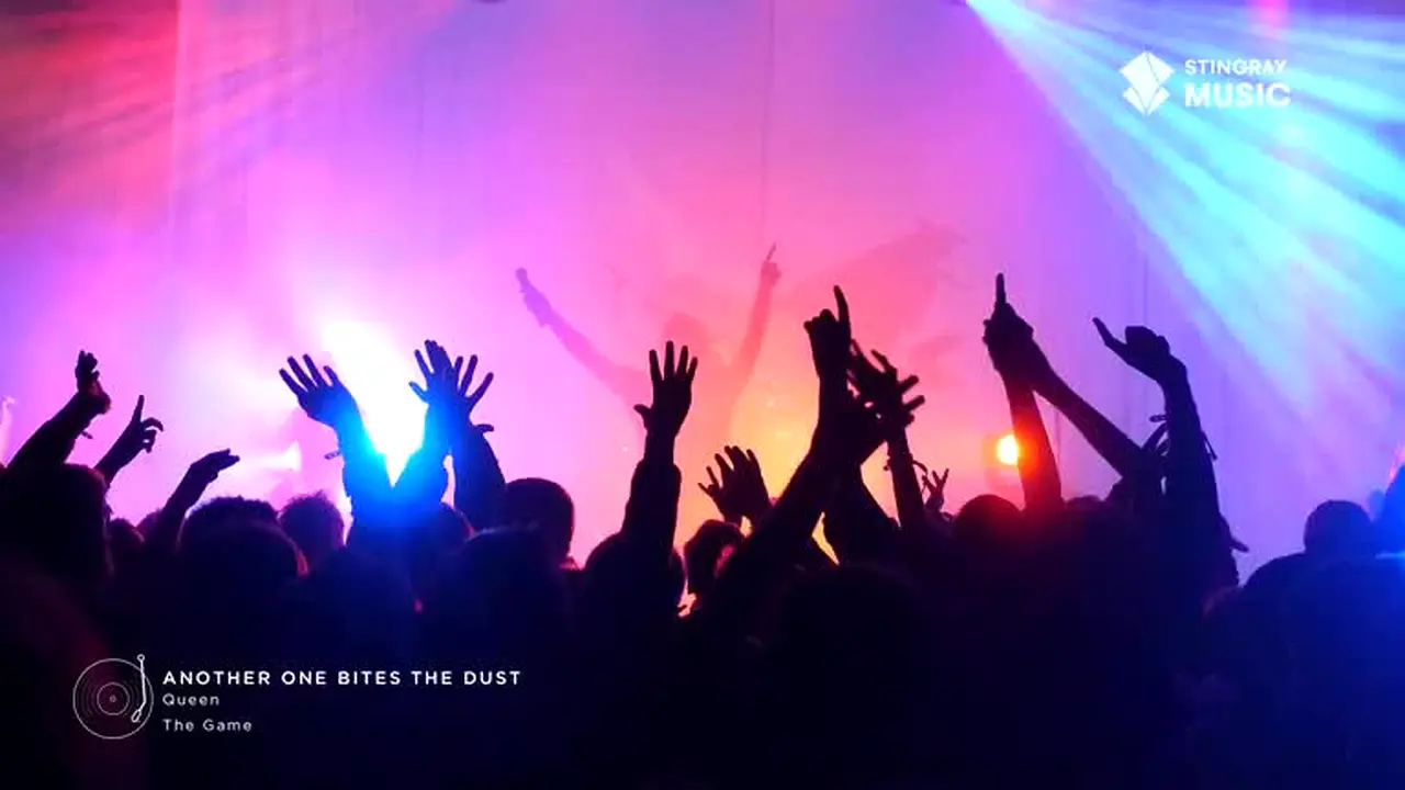 Stingray Greatest Hits live