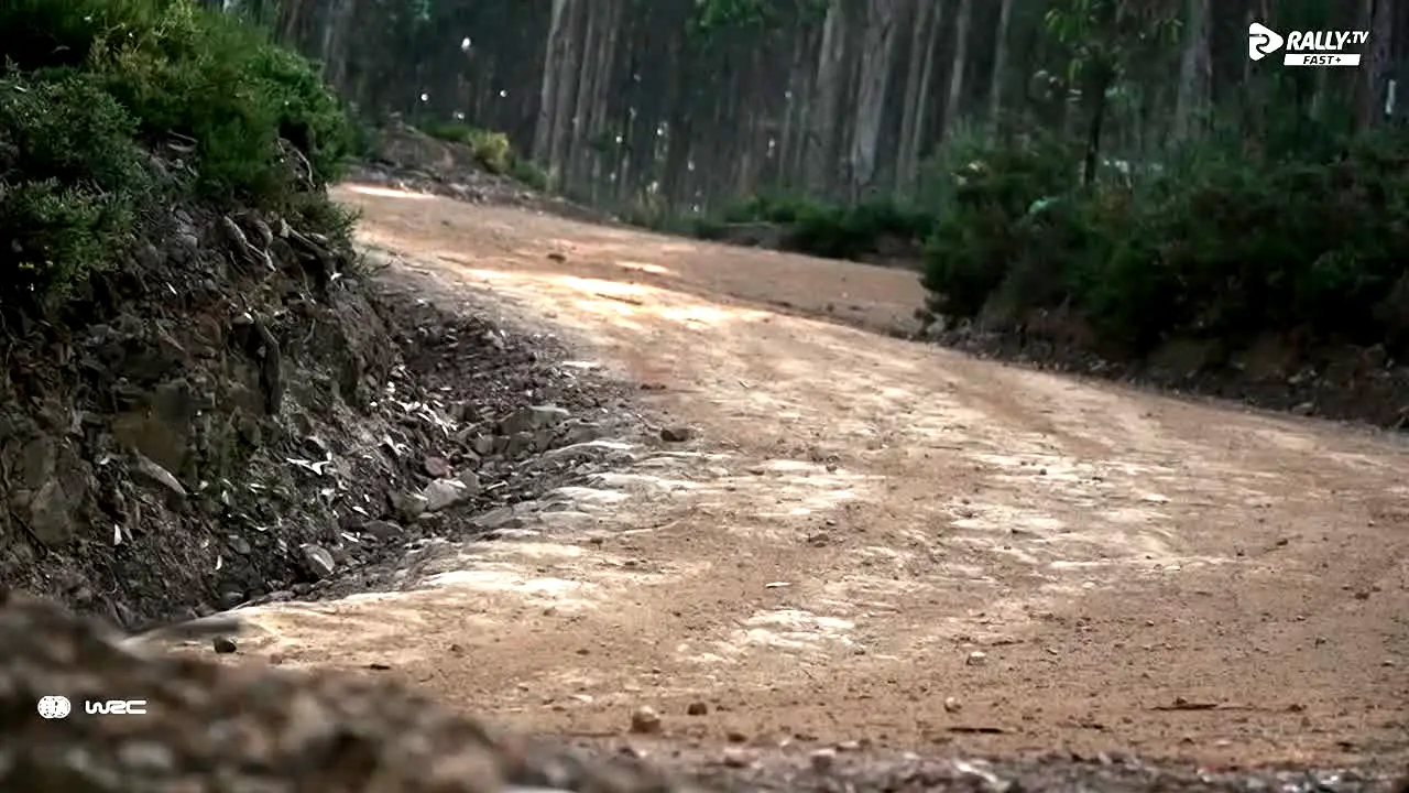 Rally TV en vivo