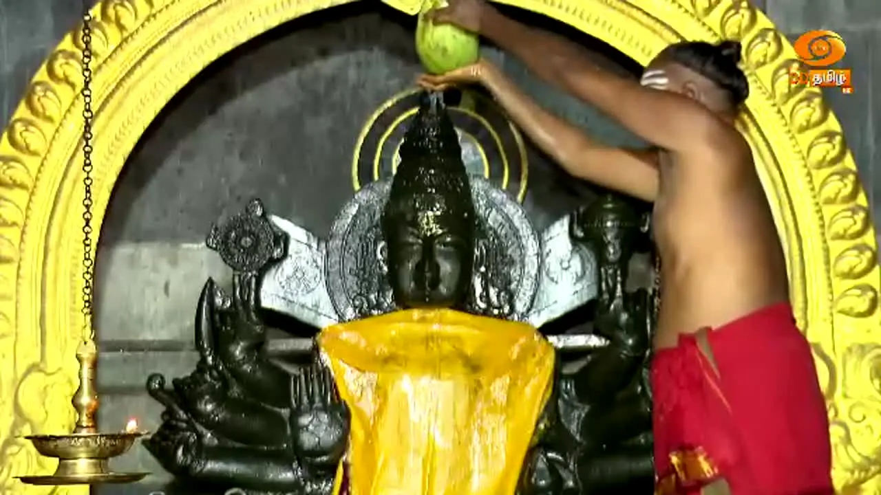 DD Tamil en direct