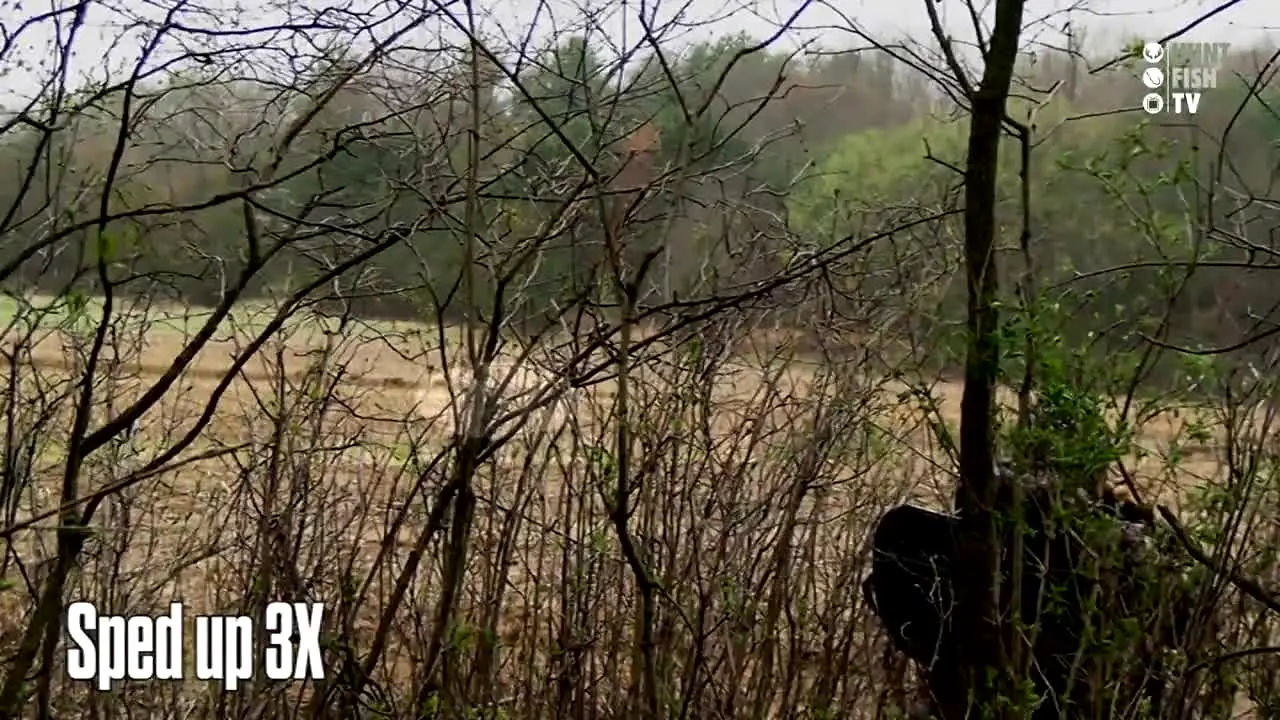 Hunt Fish TV en direct