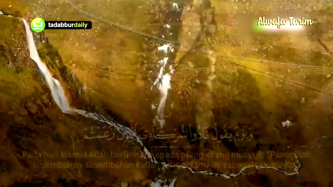 Al Wafa Tarim live
