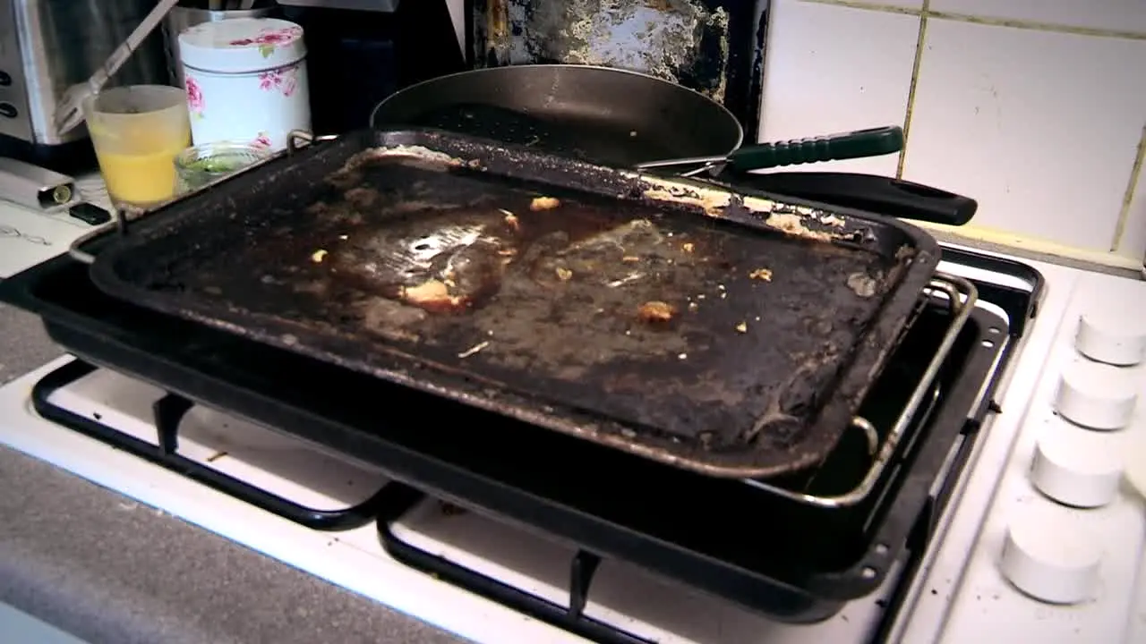 Obsessive Compulsive Cleaners ao vivo
