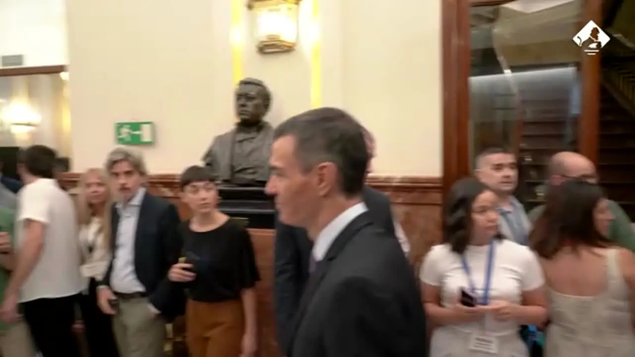 Canal Parlamento live