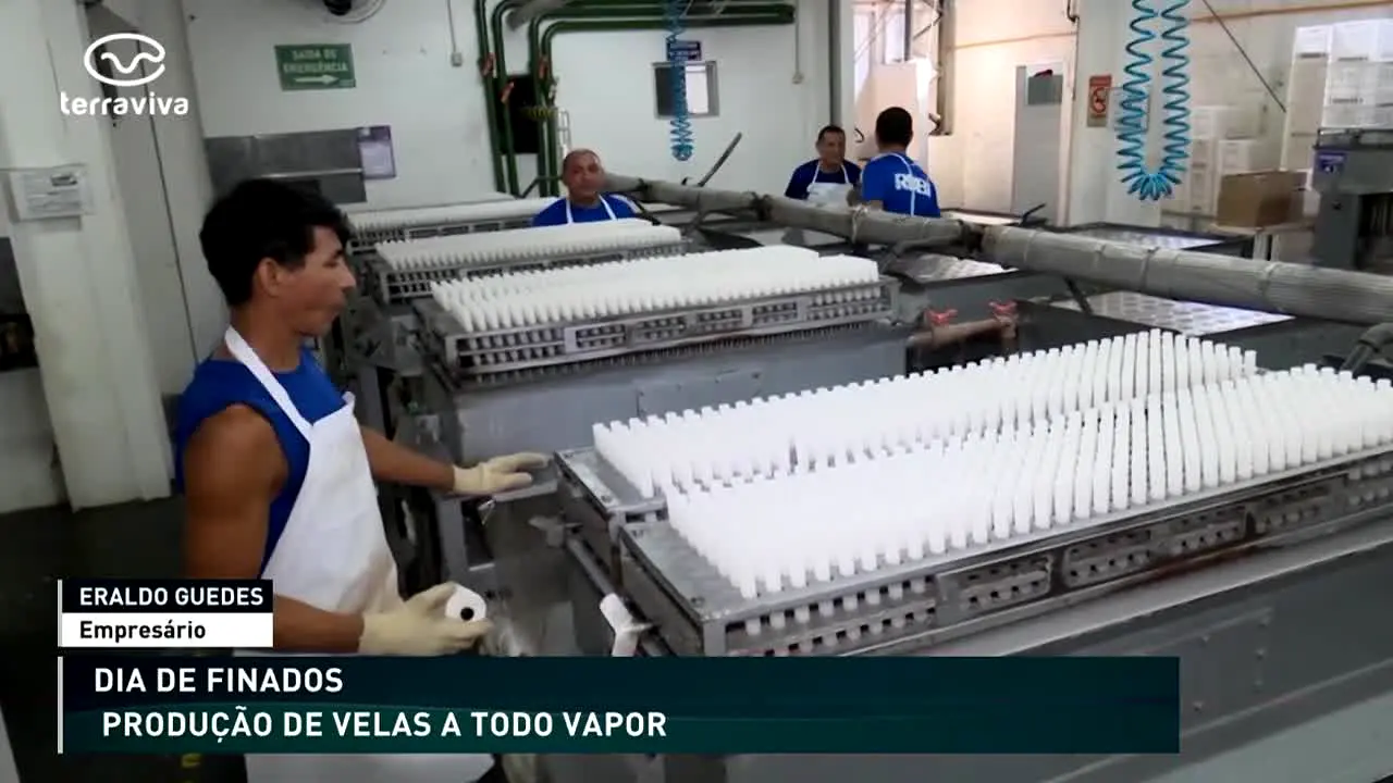 Terra Viva ao vivo