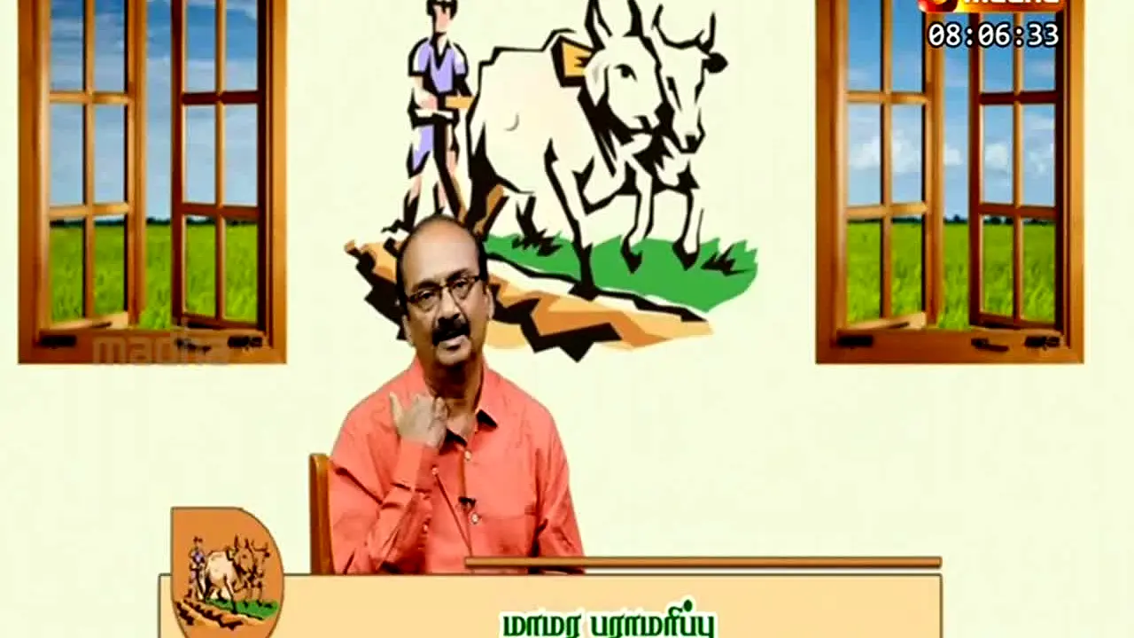 Madha TV live