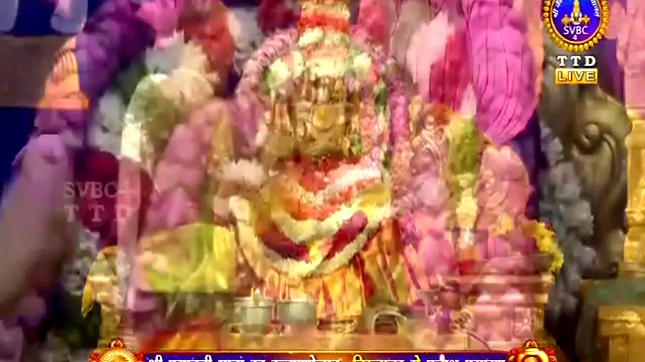 Sakshi TV live