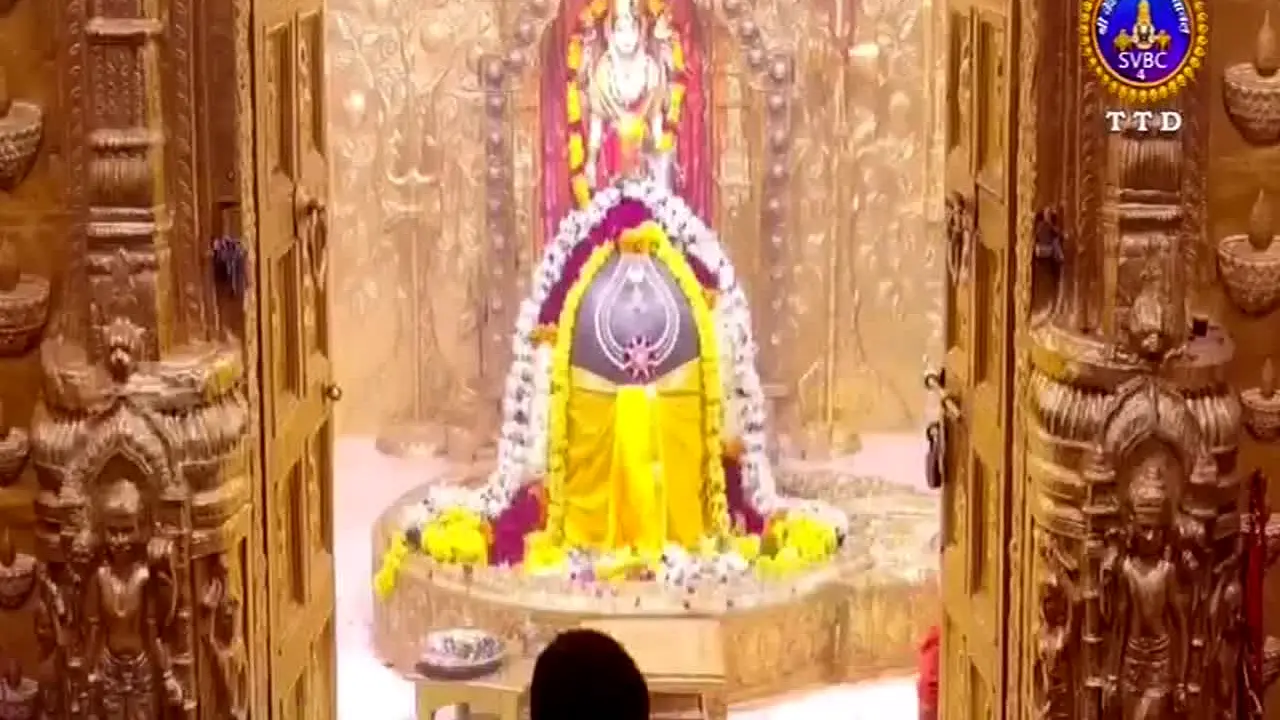 Sakshi TV in diretta
