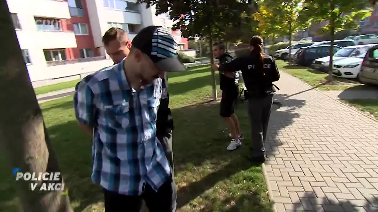 Prima Cool SK en direct