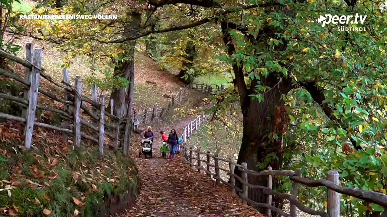 Peer TV Südtirol live