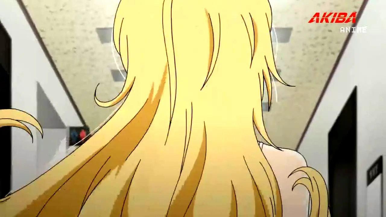 Akiba Anime live