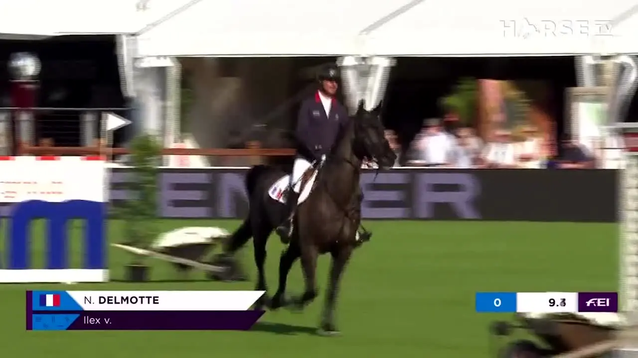 Horse TV live