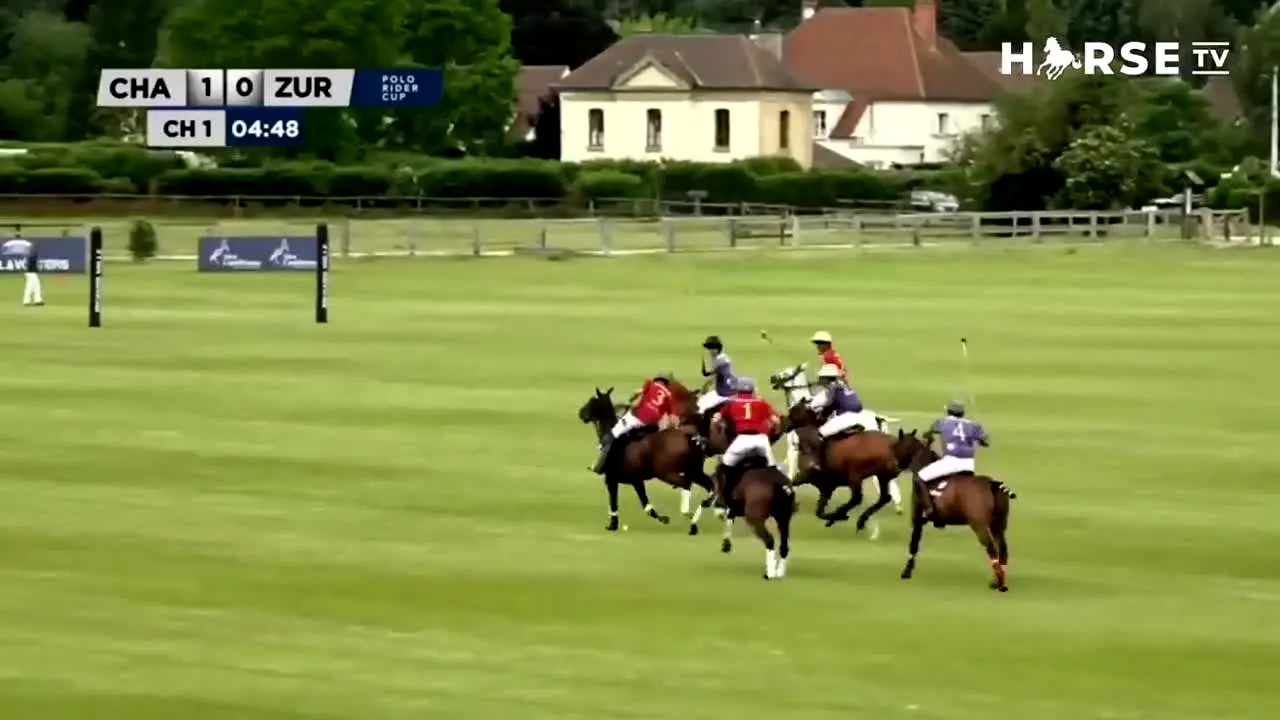 Horse TV in diretta