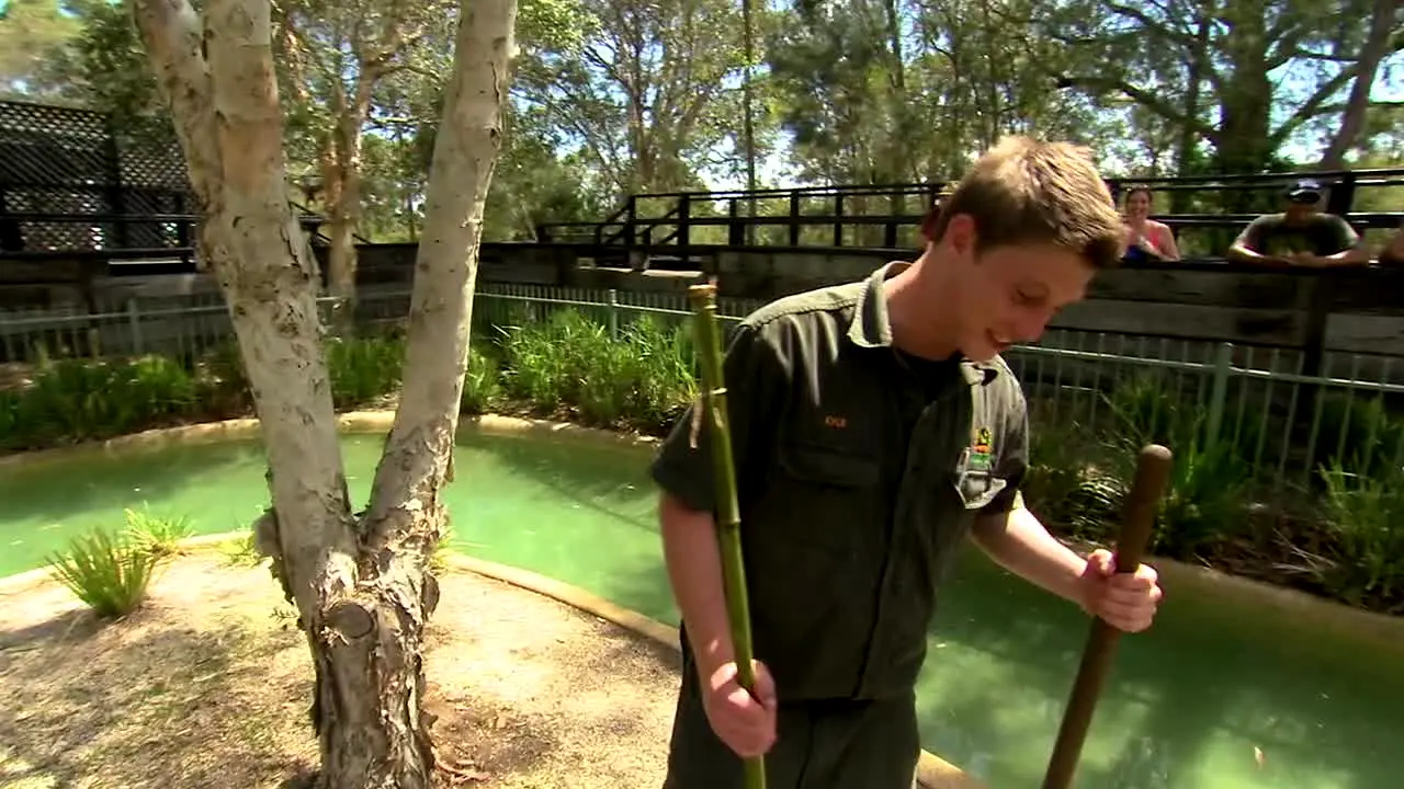 Life Downunder en direct