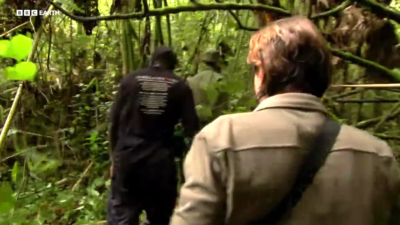 BBC Earth live