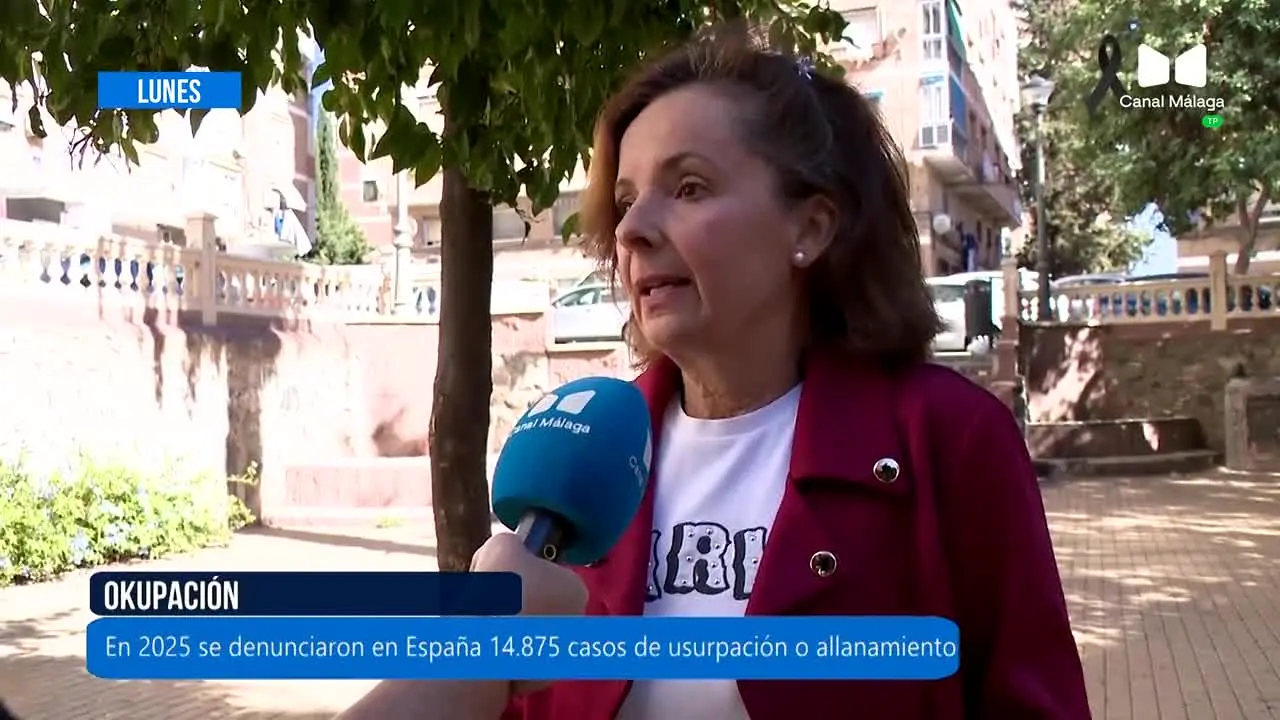Canal Málaga live