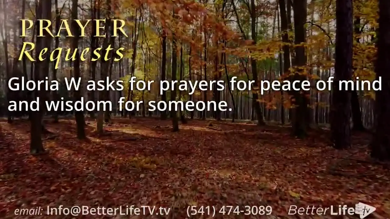 Better Life TV live