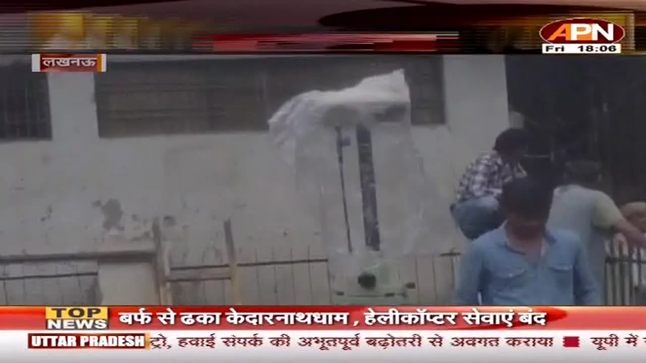 APN live