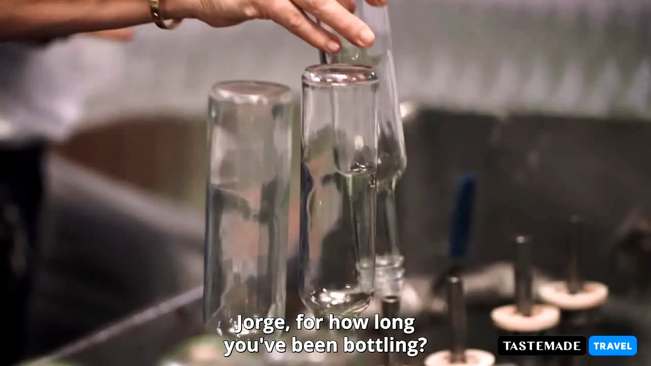Tastemade Travel ao vivo
