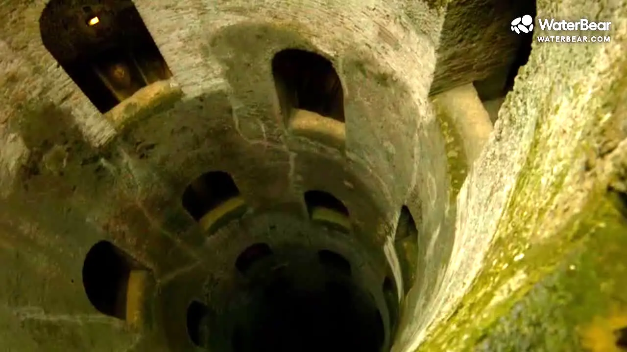 WaterBear na żywo