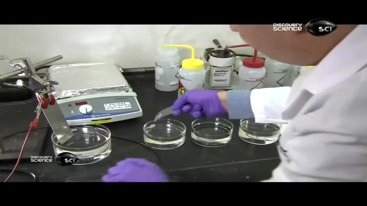 Discovery Science in diretta