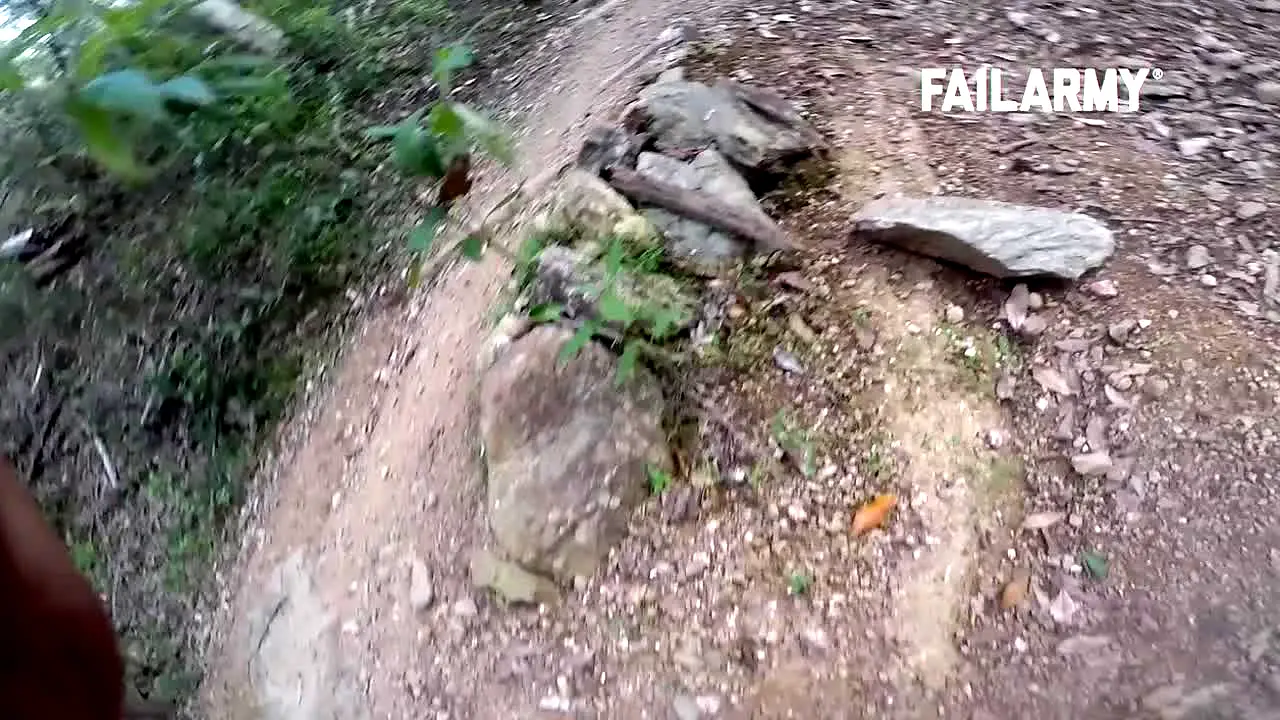 Failarmy International live