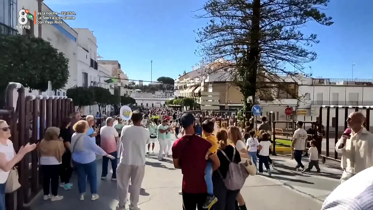 8TV Sierra de Cádiz live