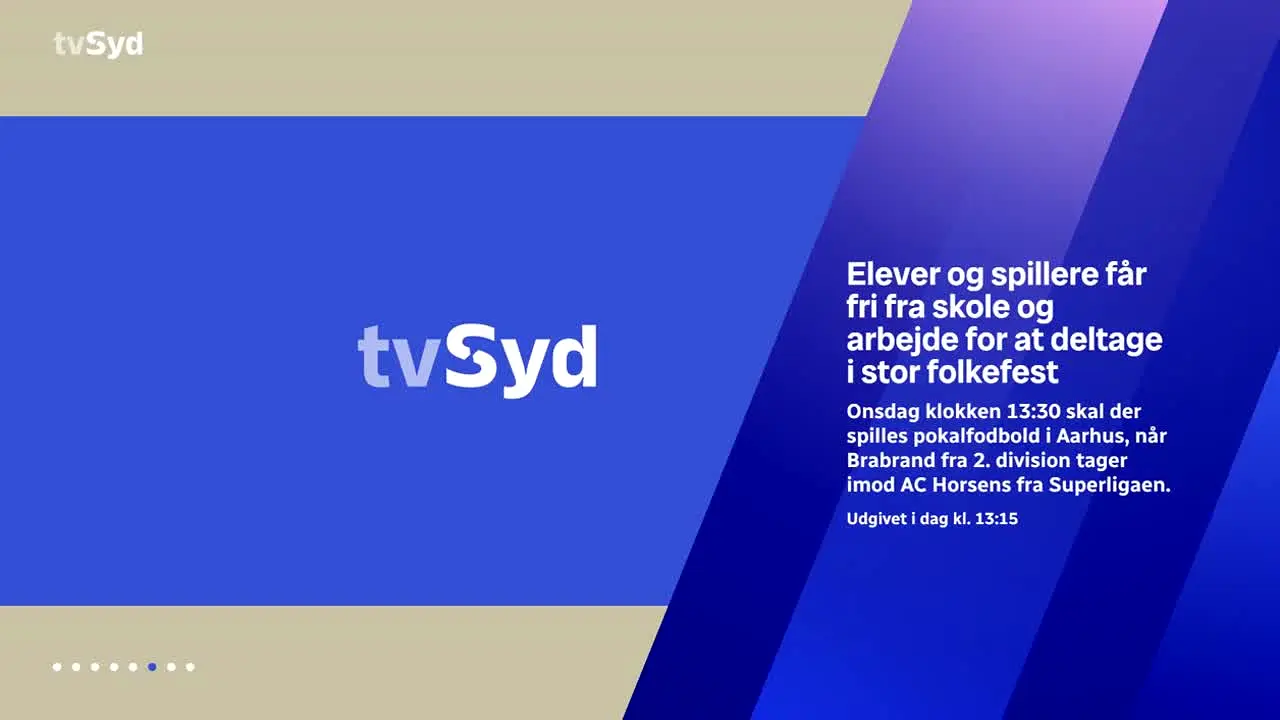 TV Syd+ en vivo