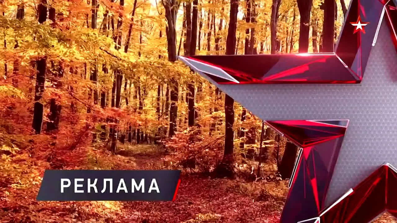 Звезда ao vivo