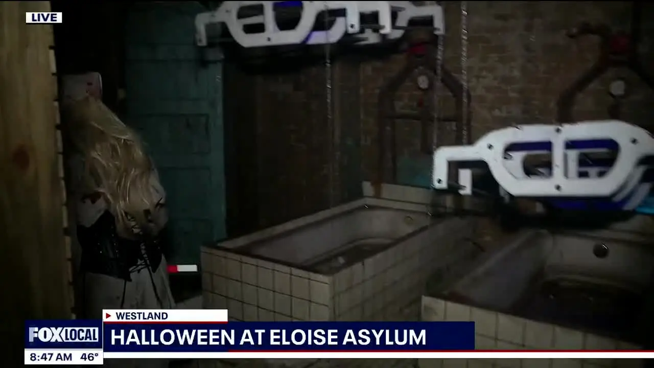 FOX LOCAL Detroit na żywo