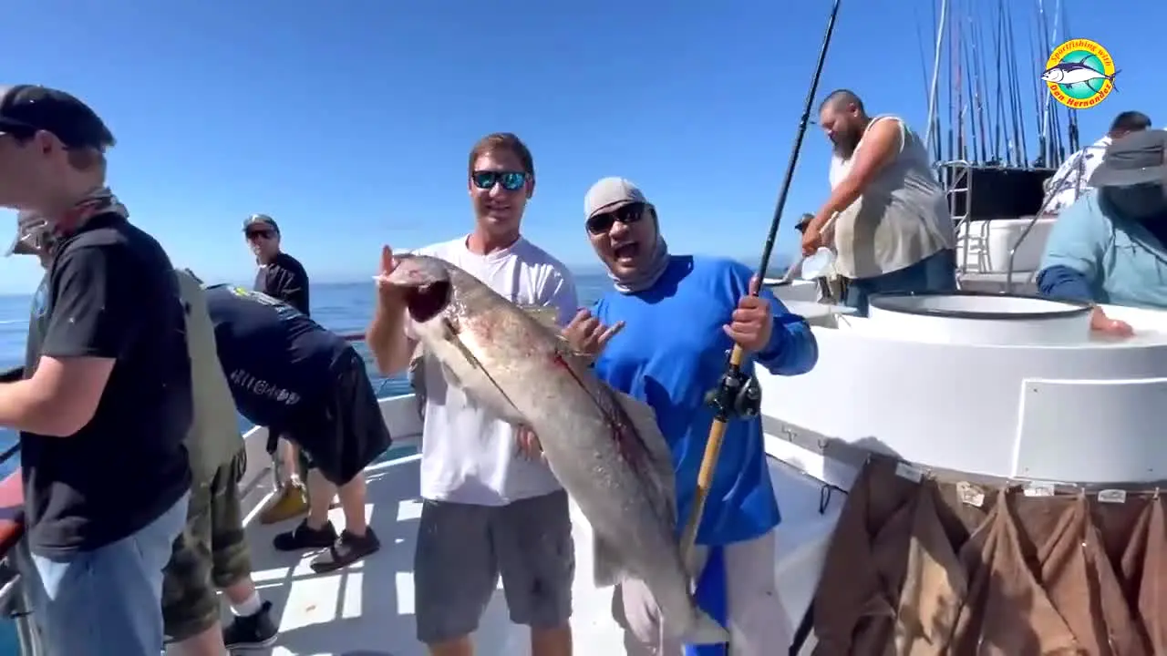 Sport Fishing TV live