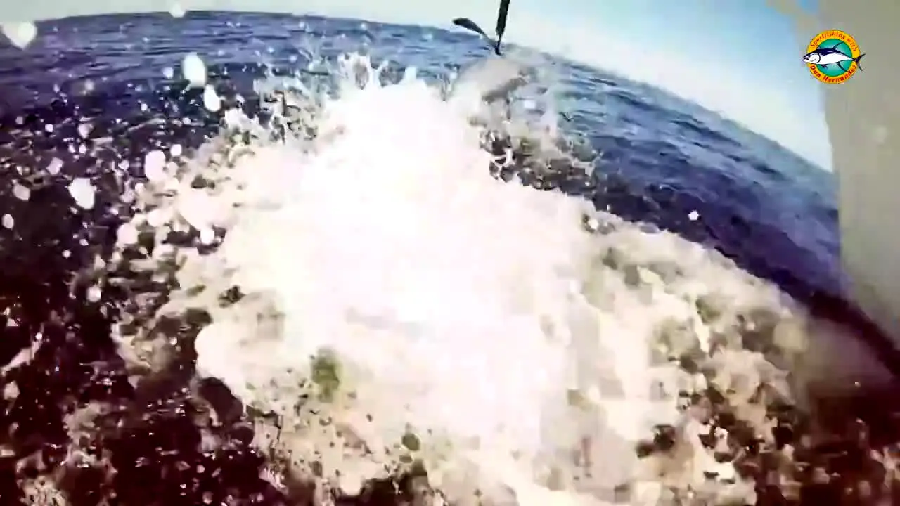 Sport Fishing TV live