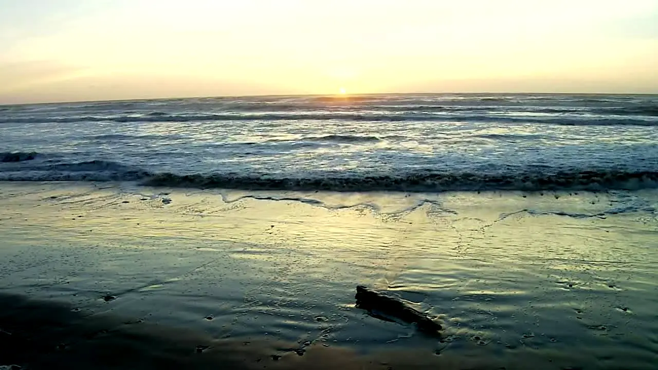NatureVision live