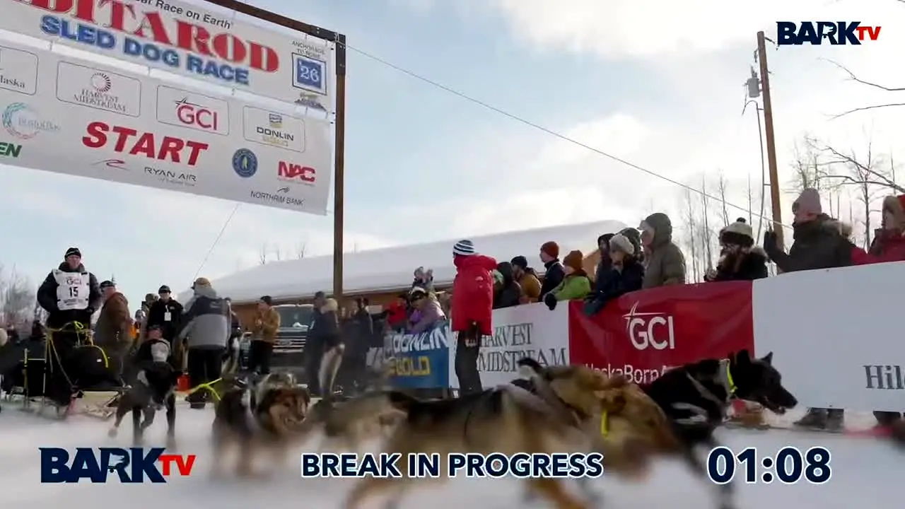 Bark TV live