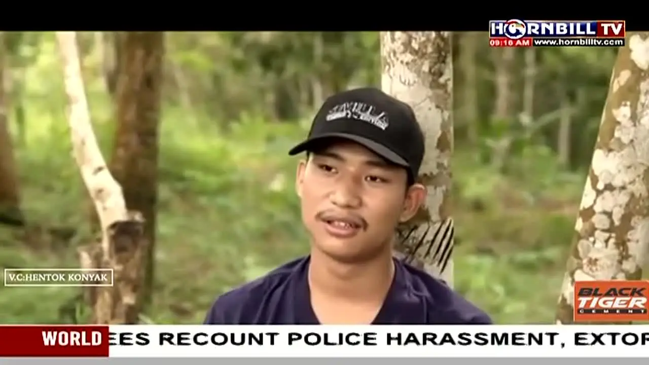 Hornbill TV live