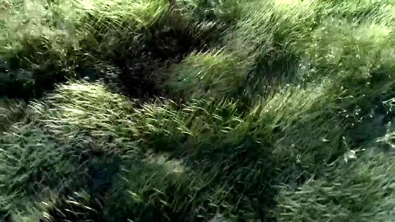 CGTN Documentary en direct
