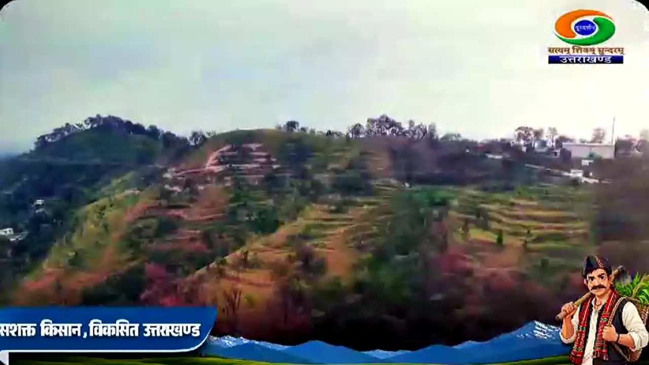 DD Uttarakhand live