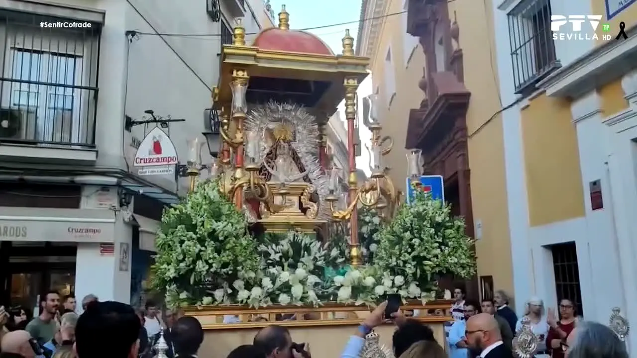 PTV Sevilla live