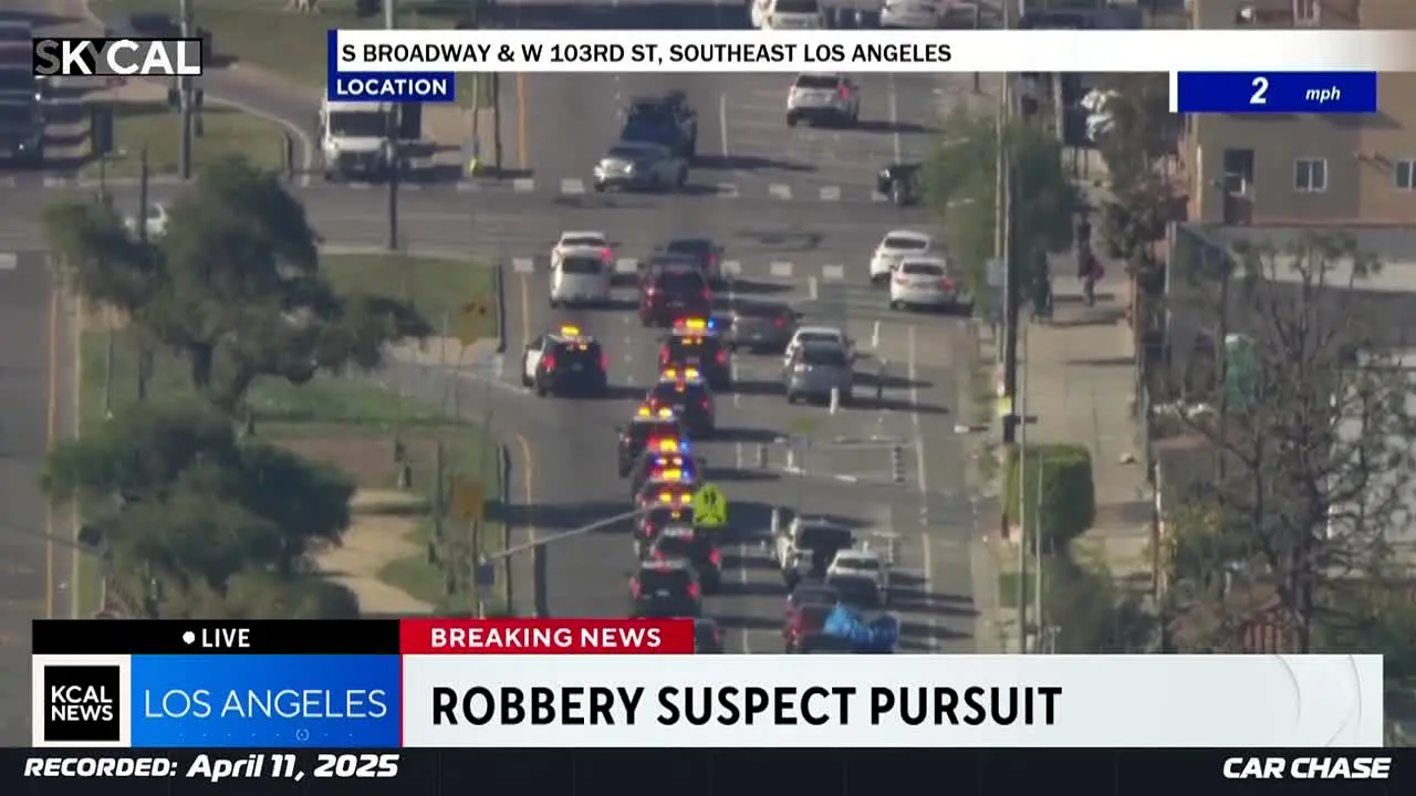 Car Chase live