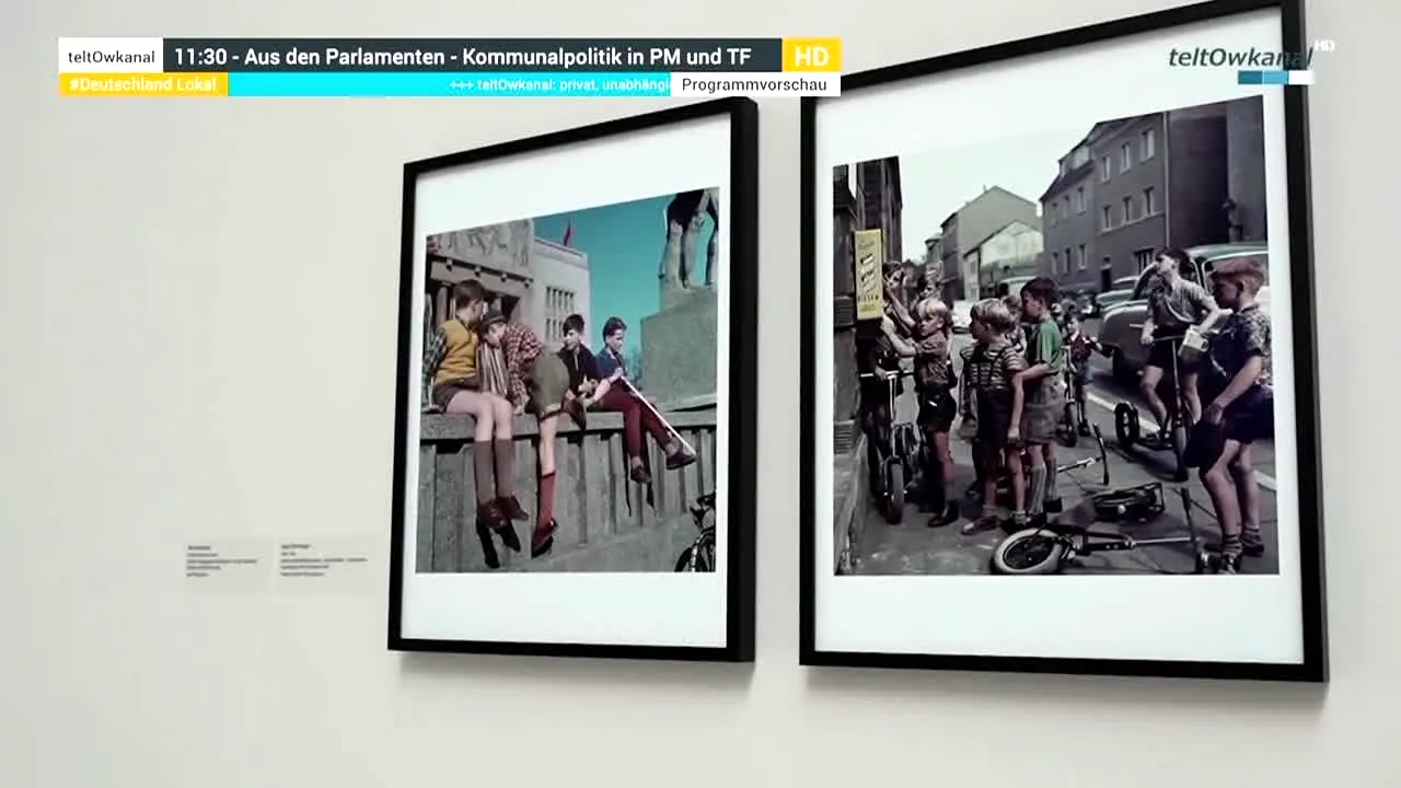 teltOwkanal en vivo