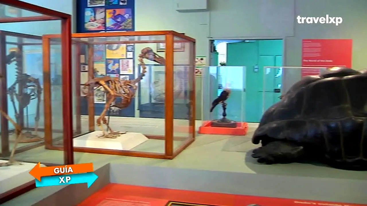 Travelxp Spain en vivo