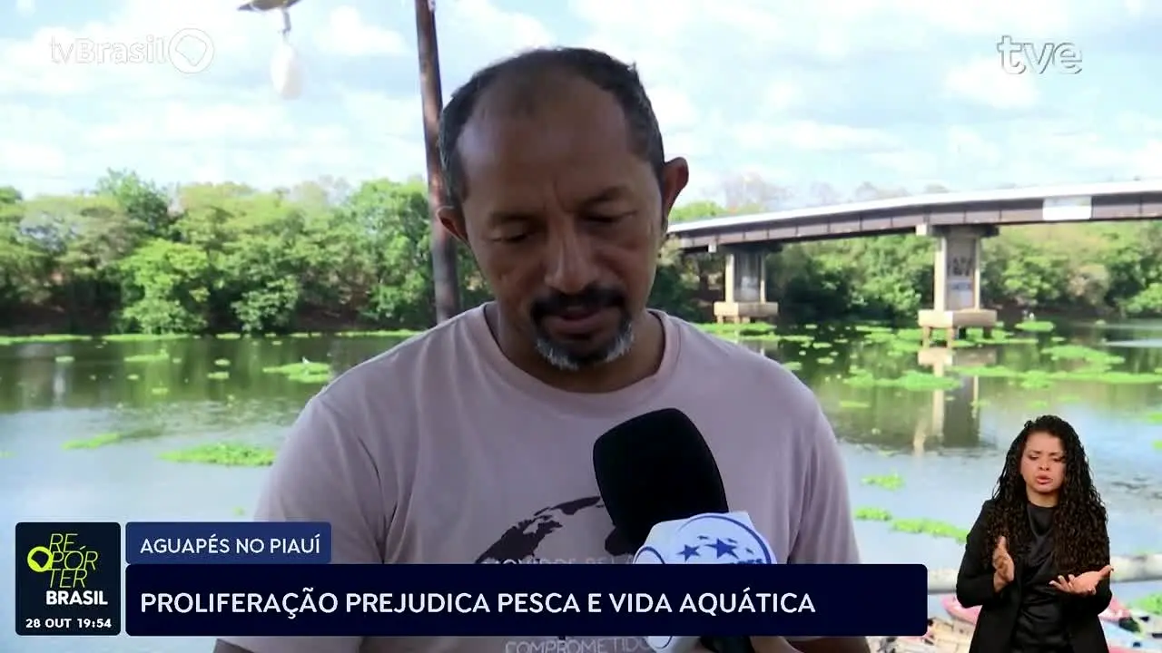 TVE RS en direct
