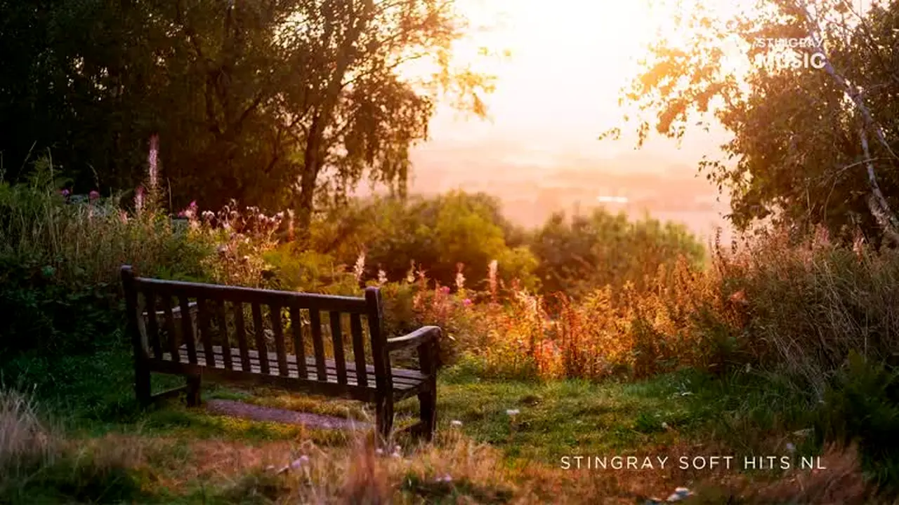 Stingray Soft Hits NL na żywo