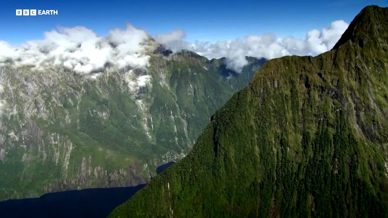 BBC Earth in diretta