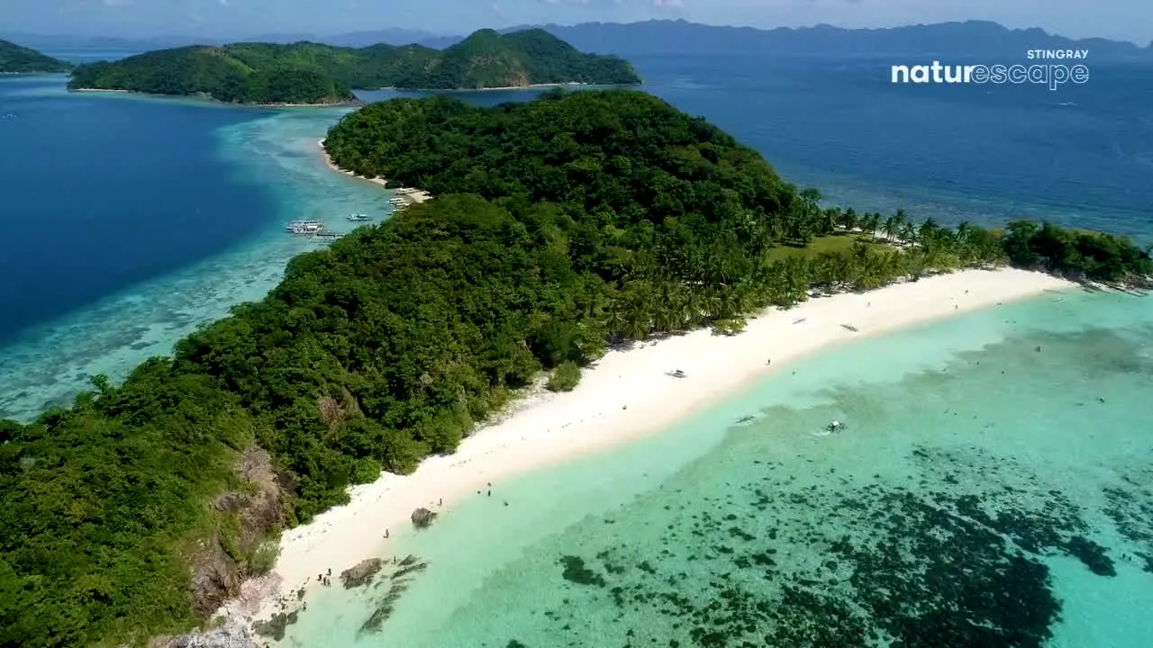 Stingray Naturescape in diretta