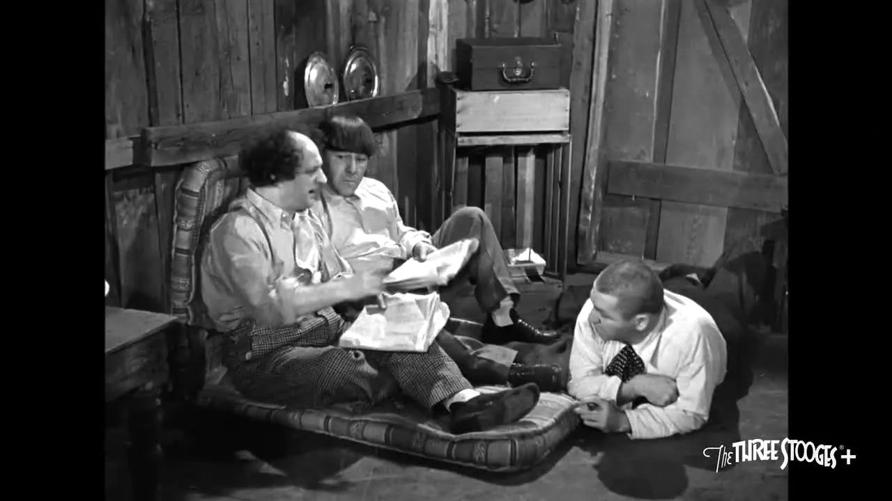 Three Stooges+ live