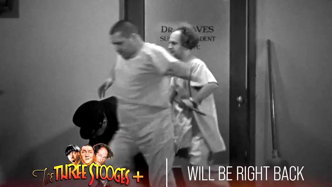 Three Stooges+ live