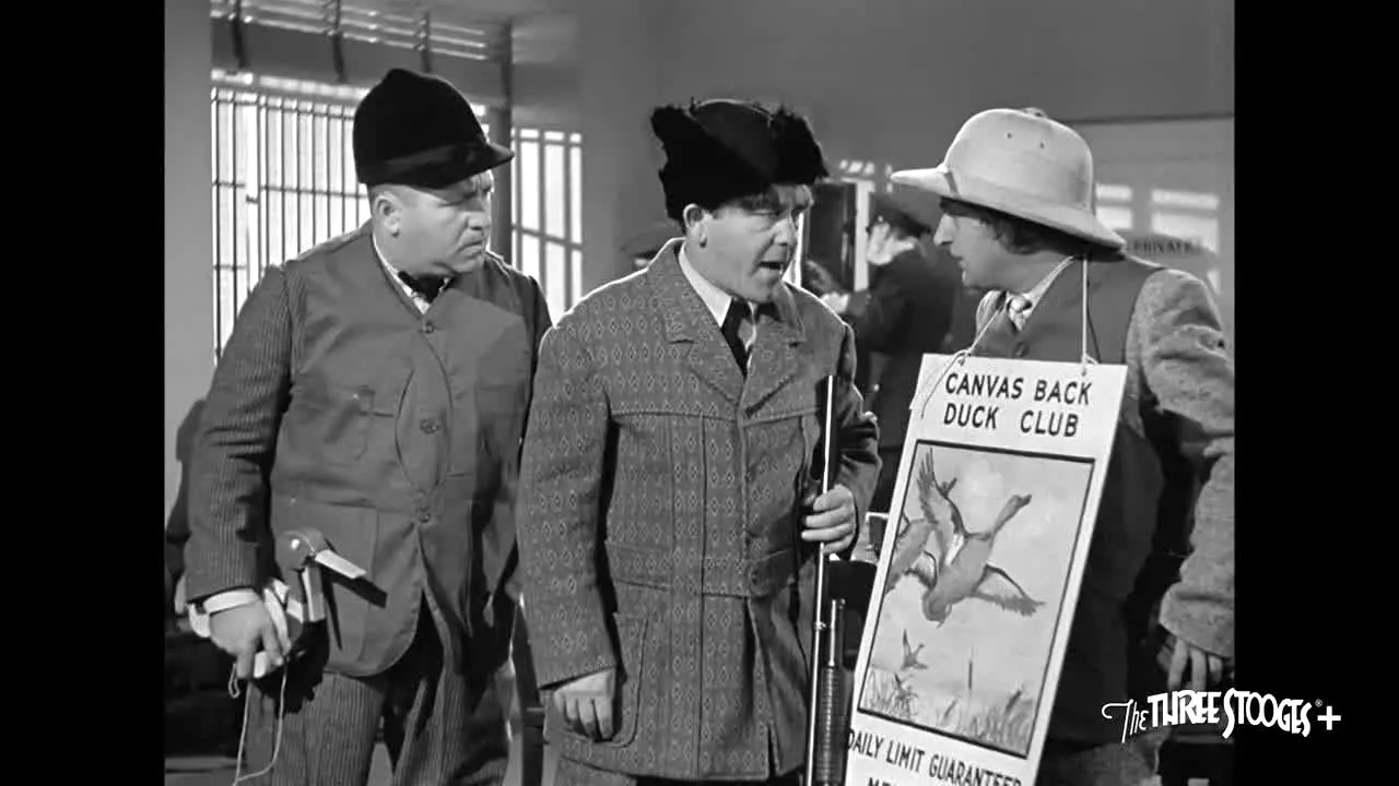 Three Stooges+ na żywo